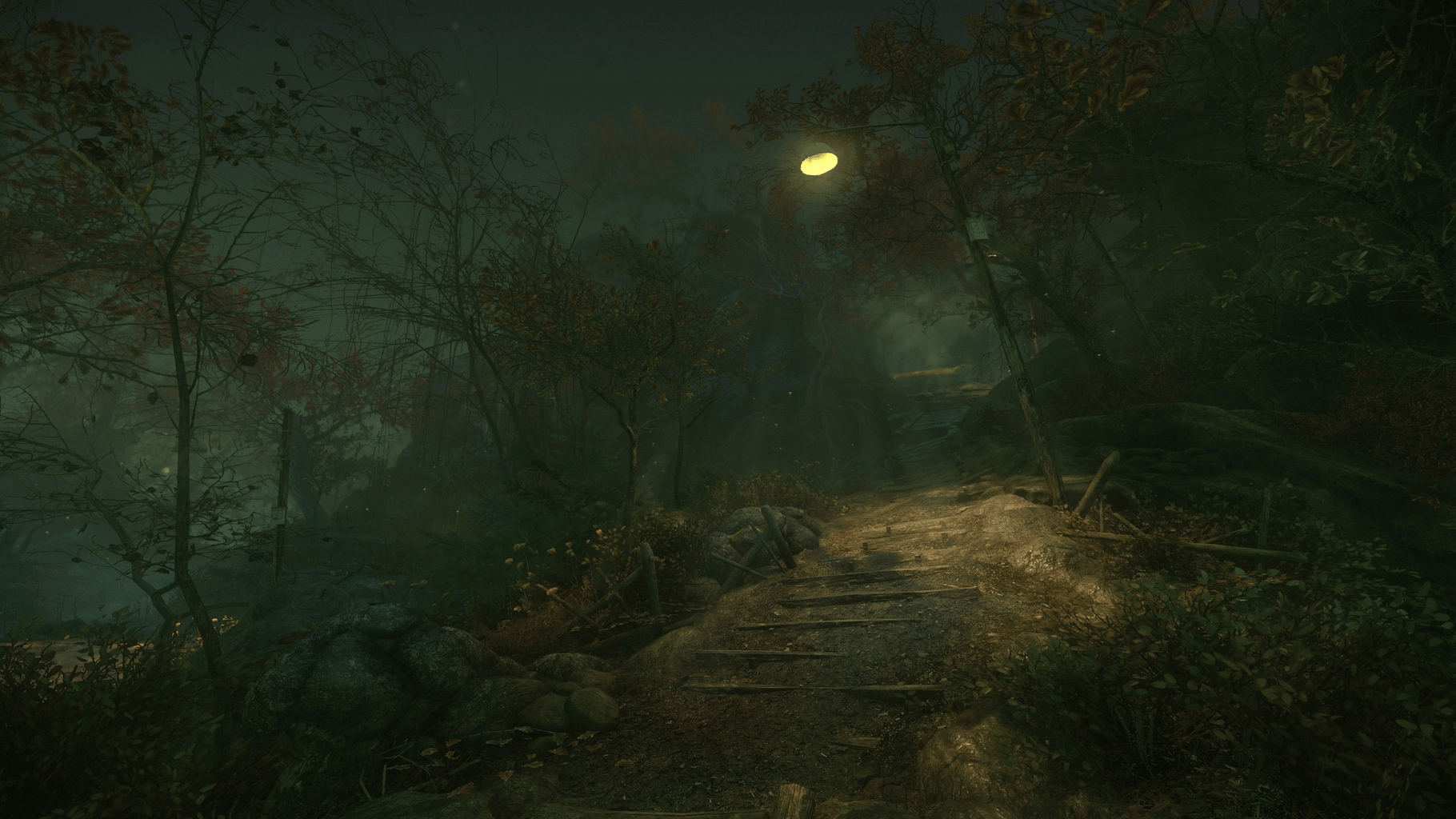 The Cursed Forest screenshot