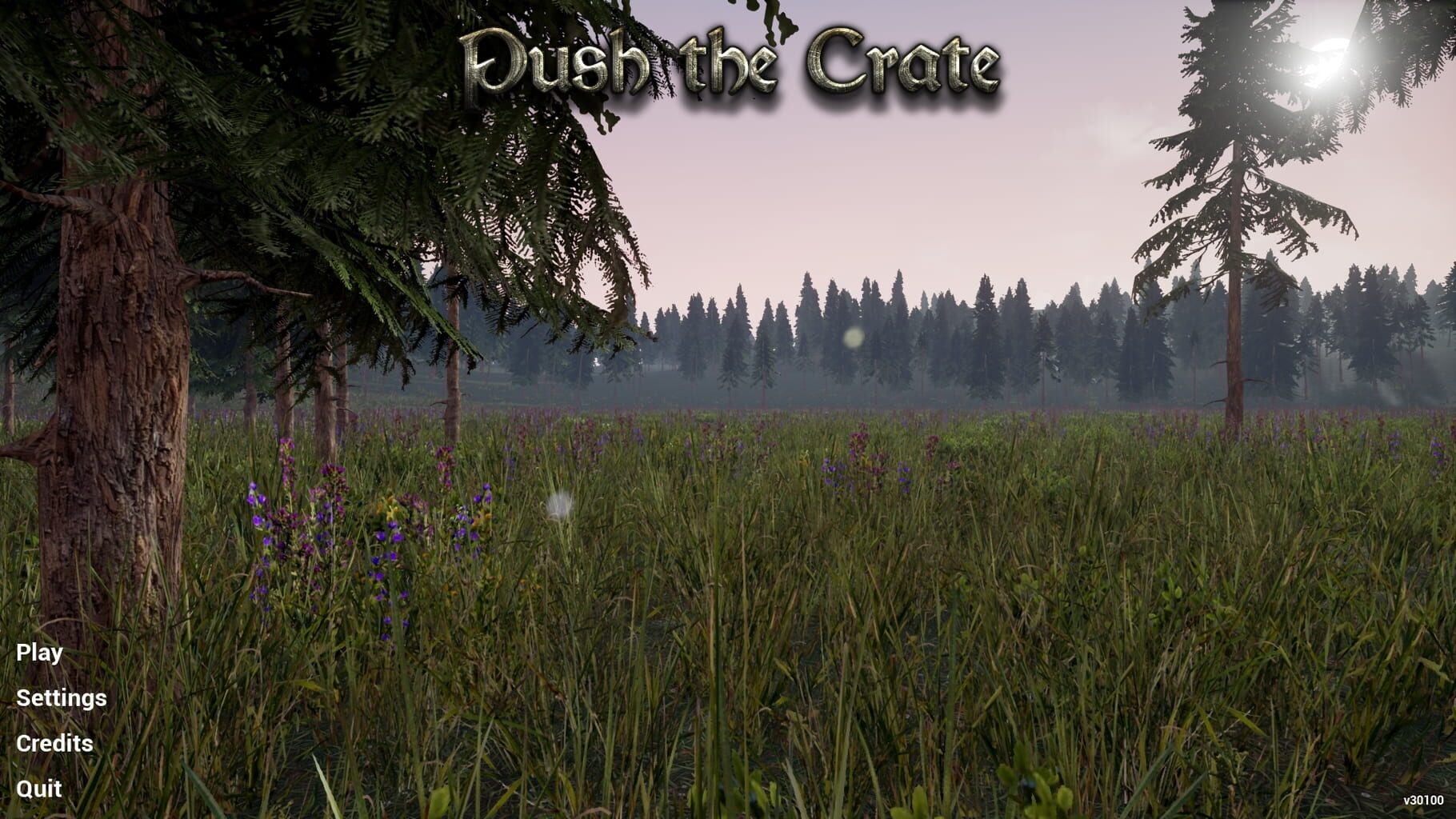 Captura de pantalla - Push the Crate