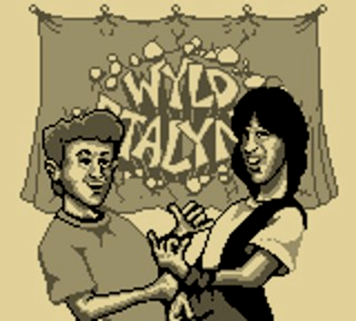 Bill & Ted's Excellent Game Boy Adventure: A Bogus Journey! screenshot