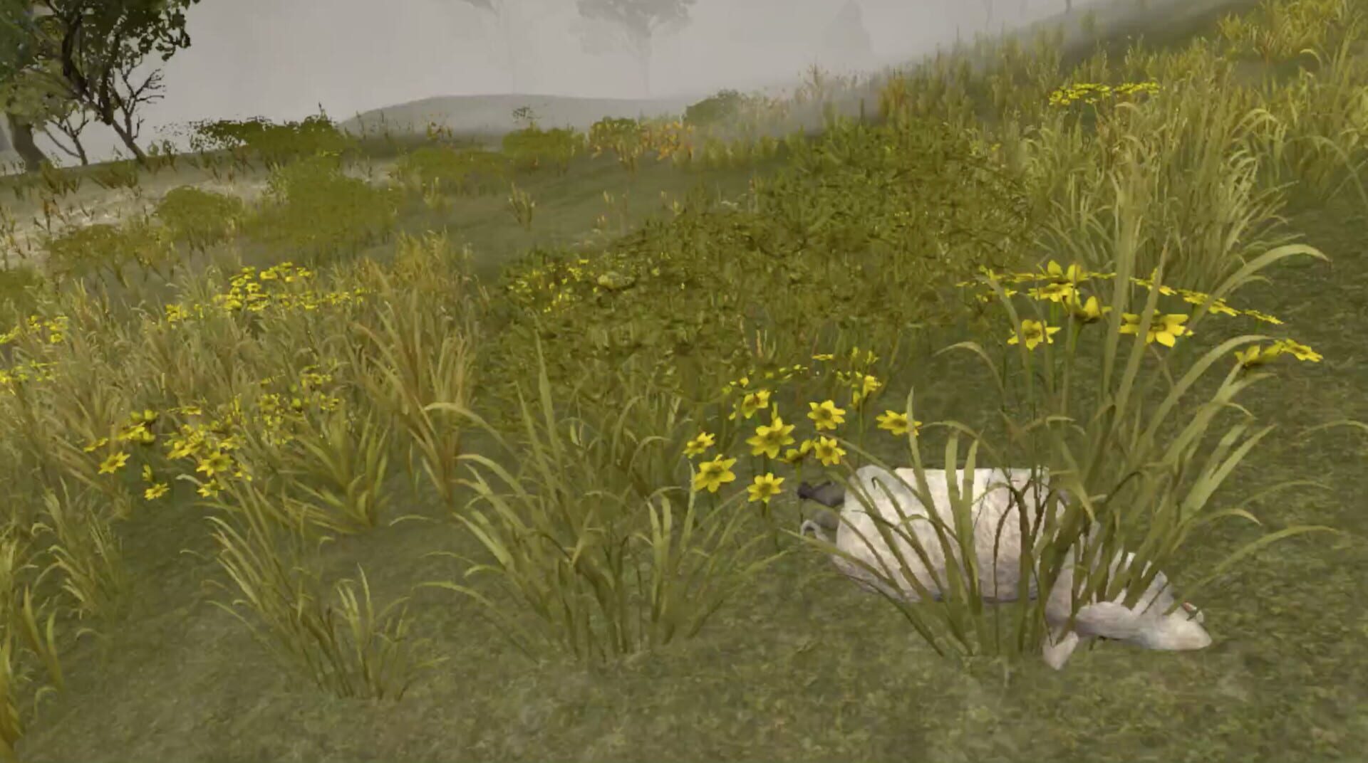 Wild Game Hunter VR - Screenshot