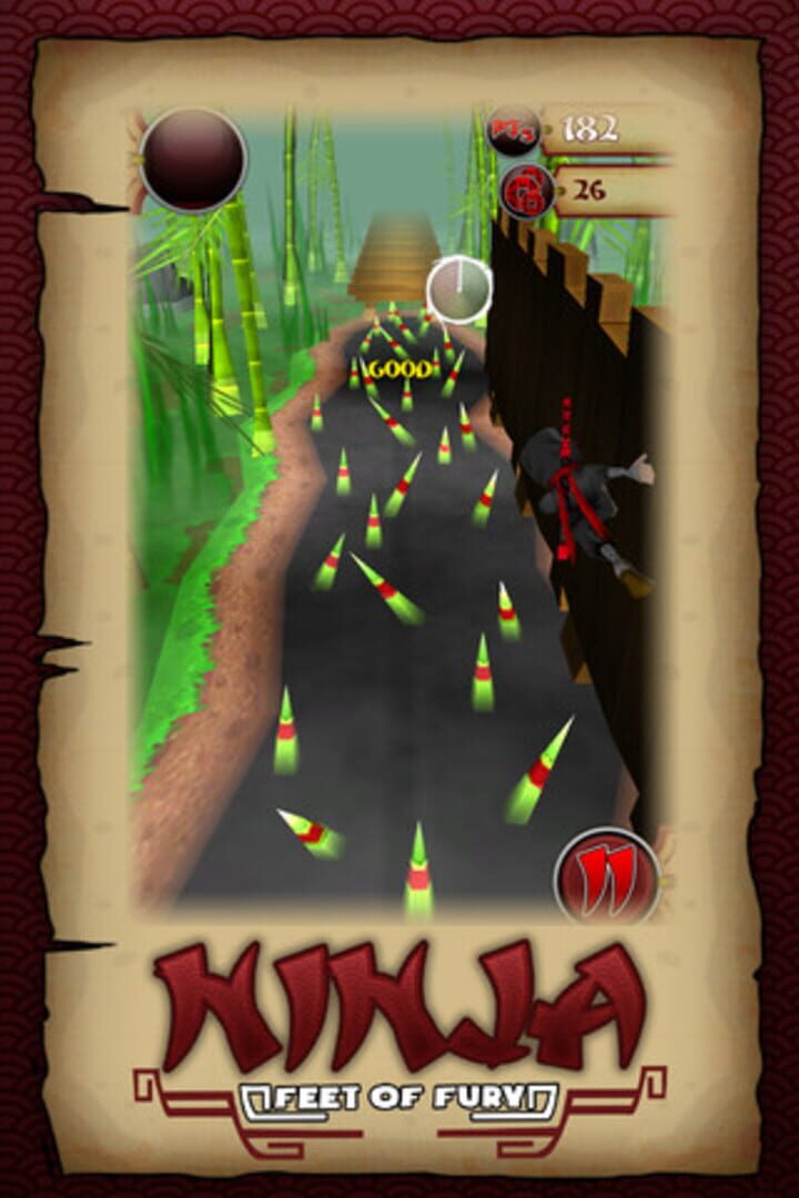 Cover image of Ninja Feet of Fury
