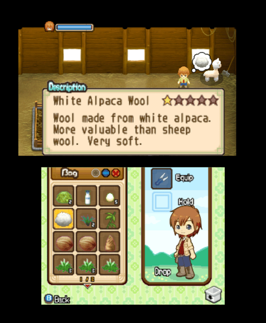 Harvest Moon: The Tale of Two Towns screenshot