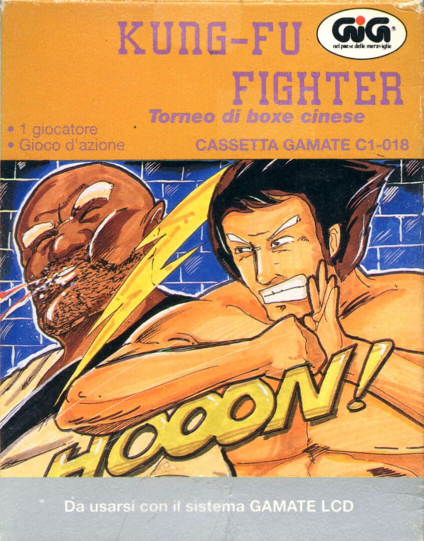 Kung-Fu Fighter cover art