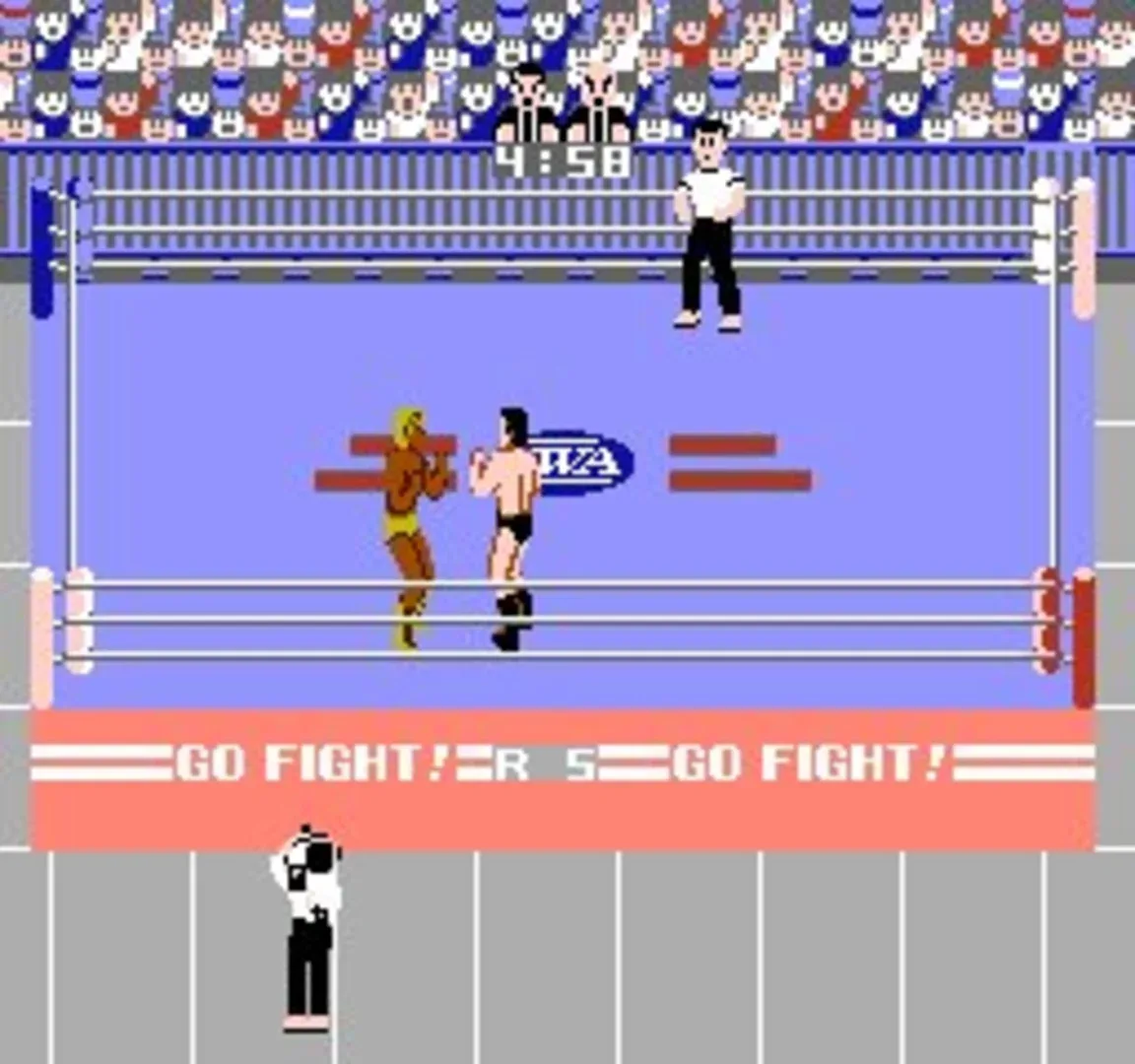Captura de pantalla - Pro Wrestling