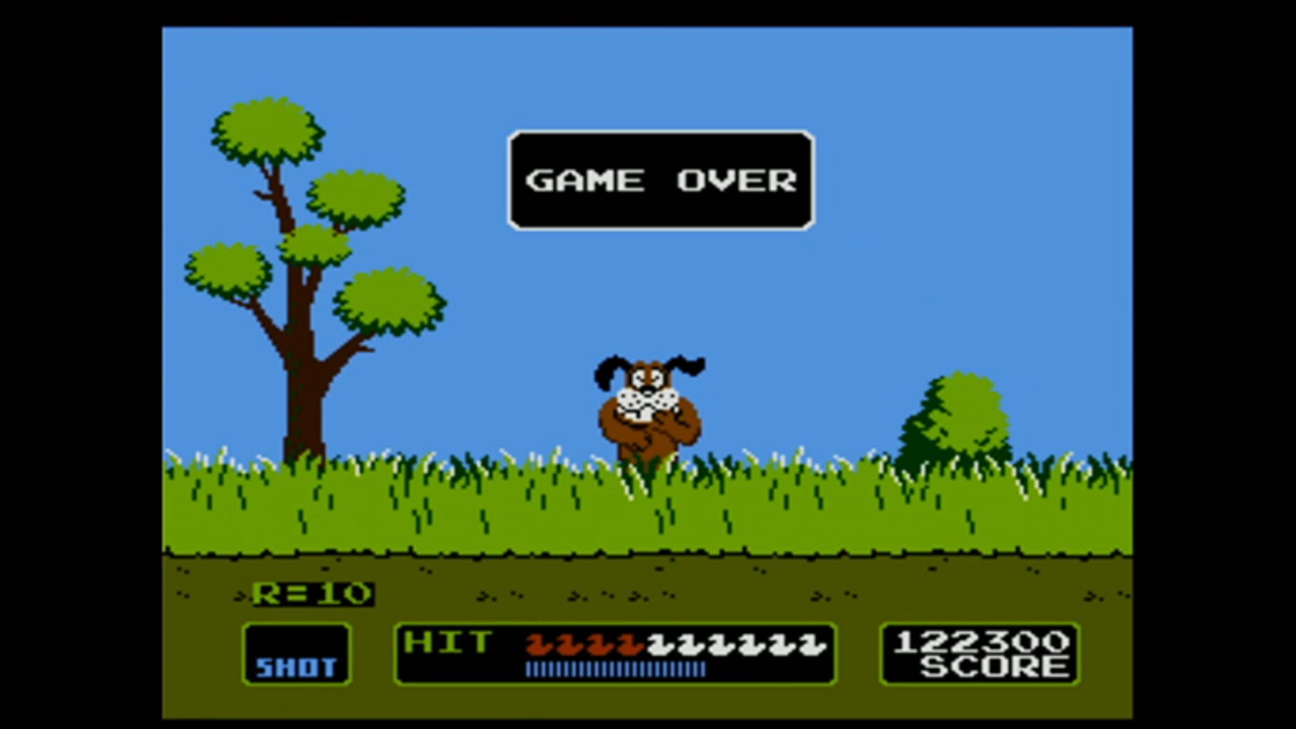 Captura de pantalla - Duck Hunt