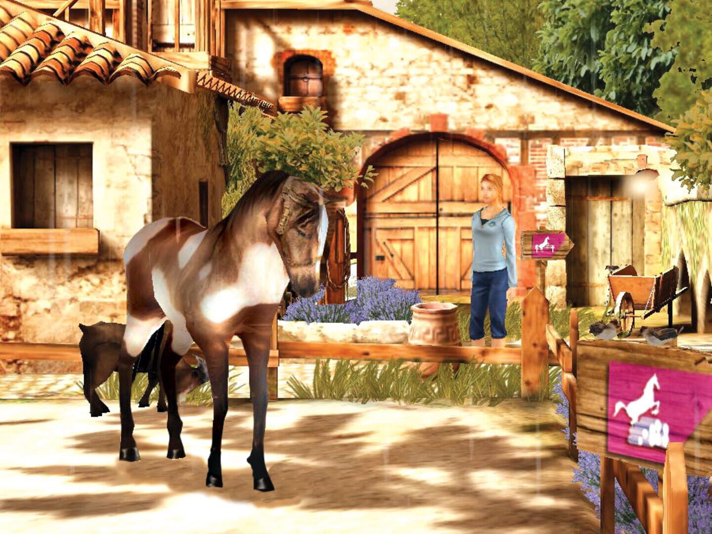 Horse life 2. Petz Horsez 2. Petz Horsez 2 / Horsez: секреты ранчо. Petz: Horsez 1. Игра Petz Horsez.