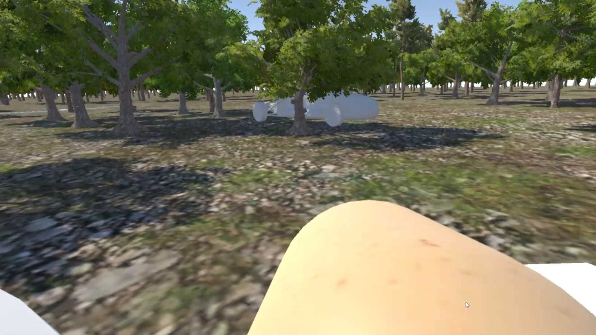 Chicken VR - Screenshot