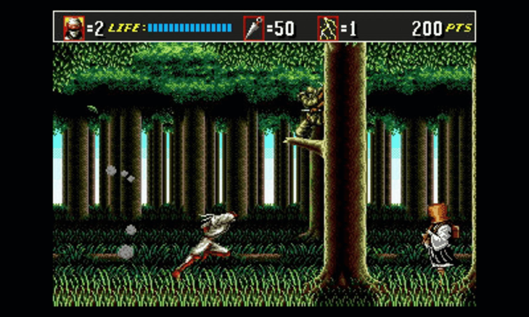 3D Shinobi III: Return of the Ninja Master screenshot