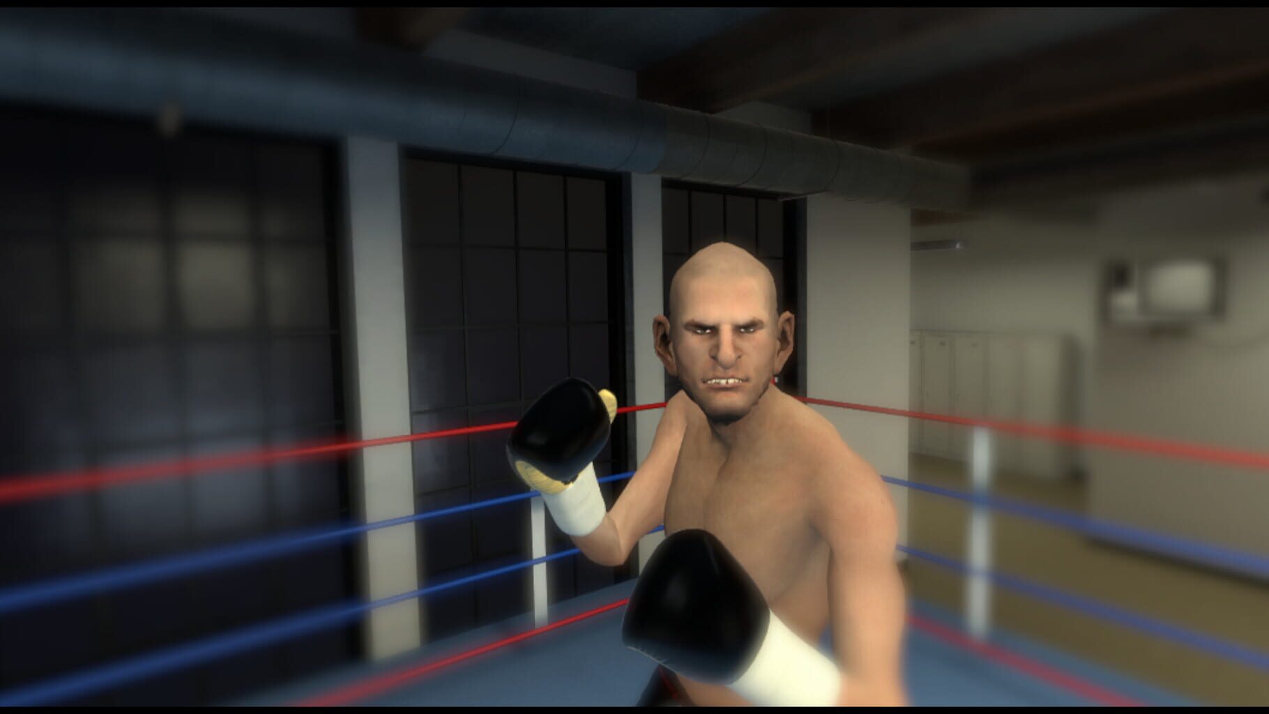 Captura de pantalla - The Thrill of the Fight - VR Boxing