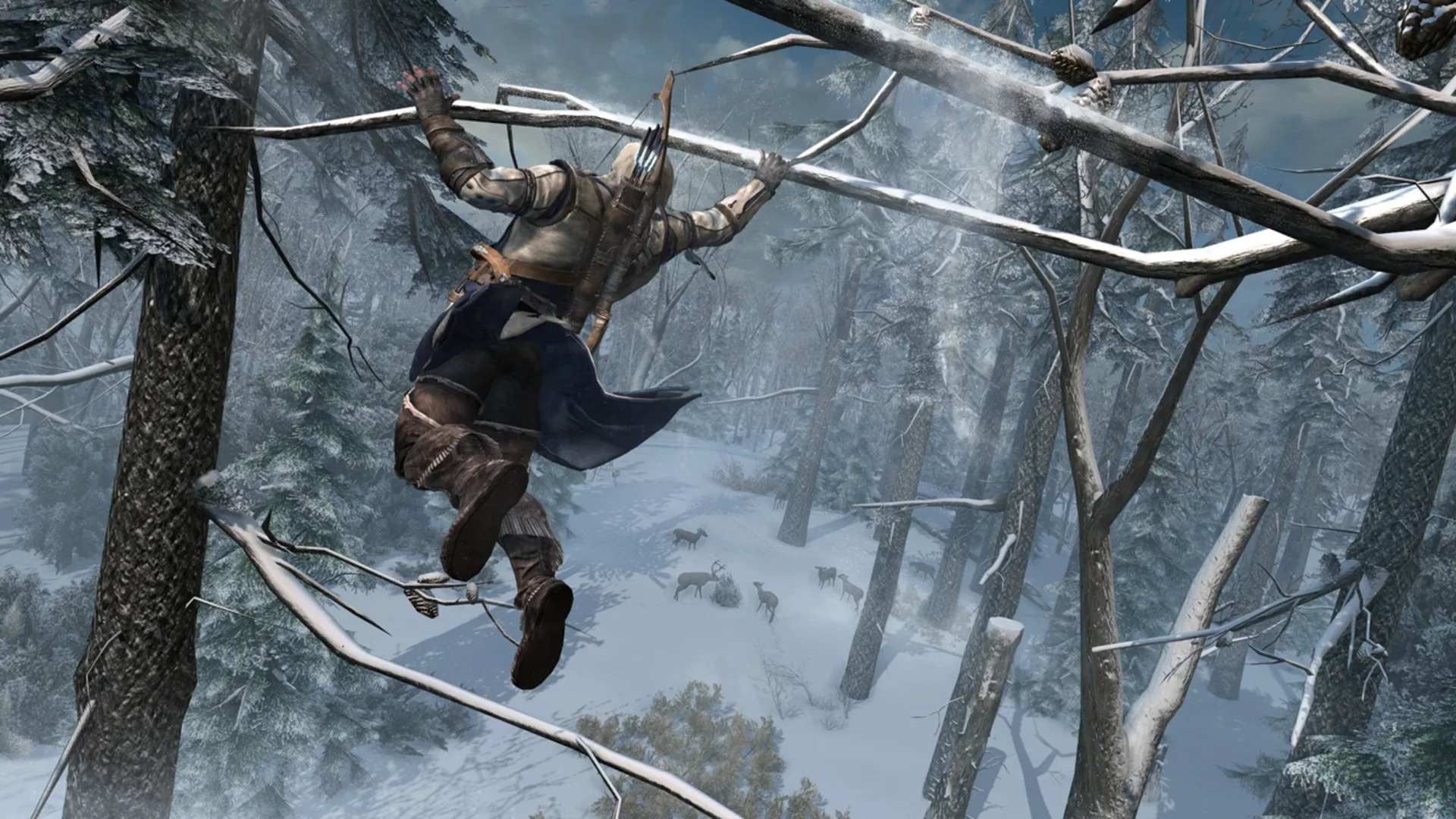Captura de pantalla - Assassin's Creed III