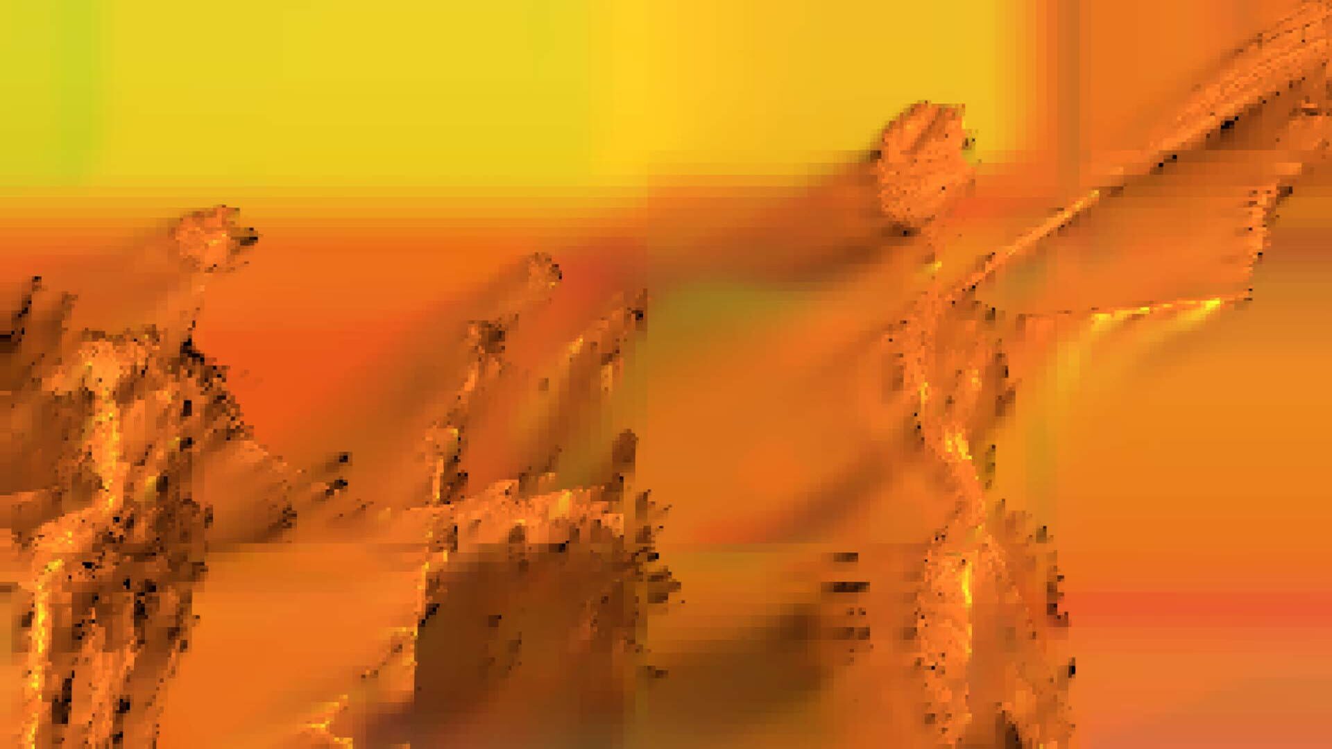 Roa - Screenshot