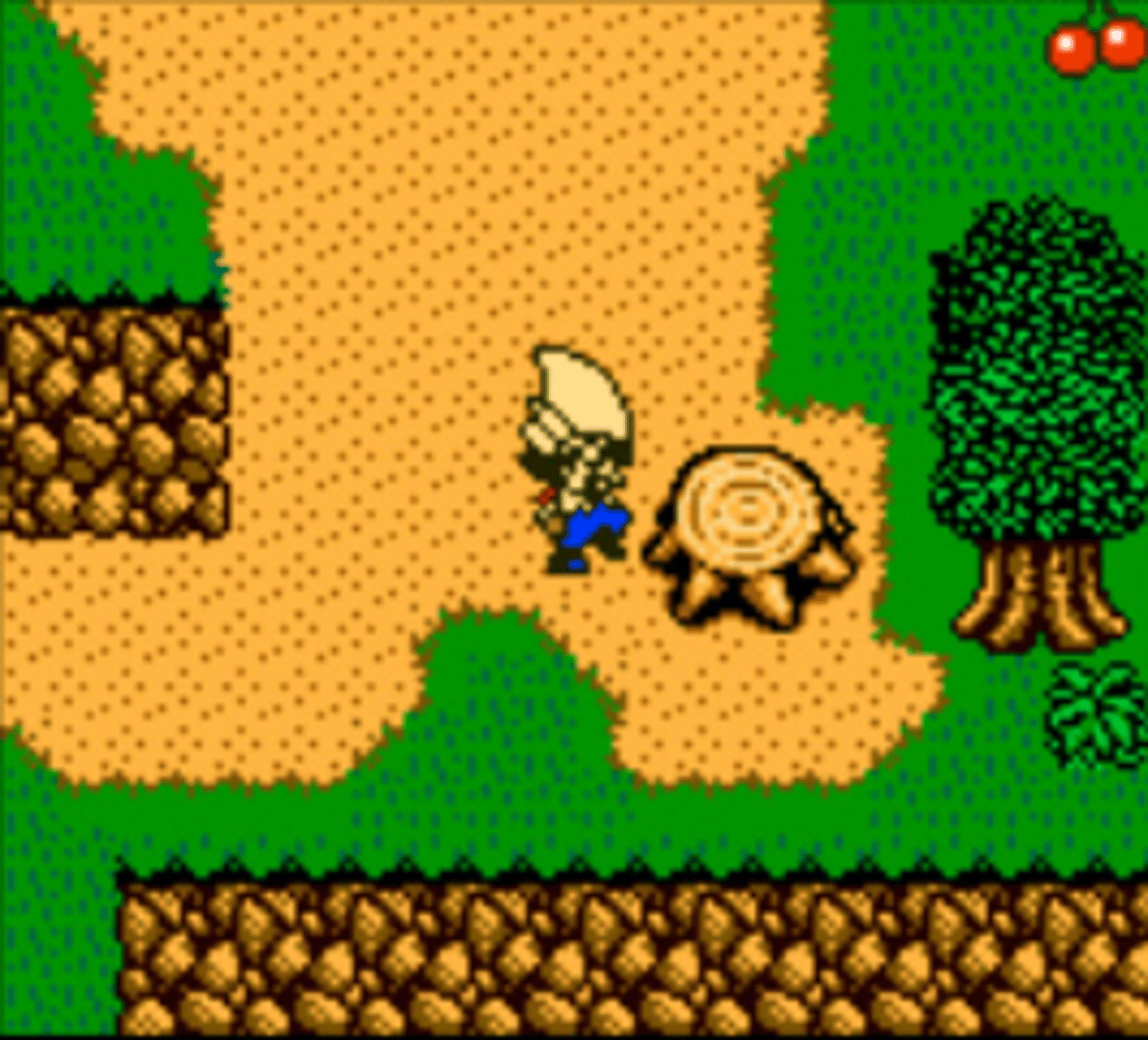 Harvest Moon 3 GBC screenshot