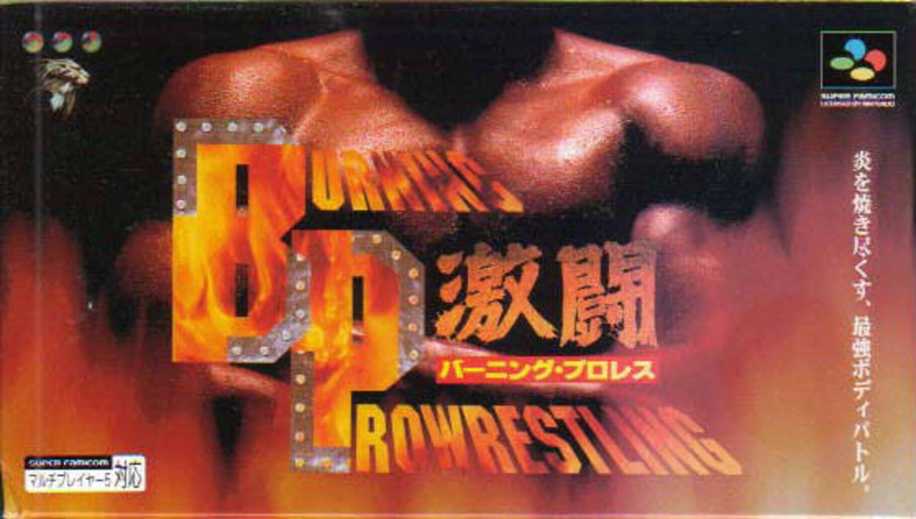 Gekitou Burning Pro Wrestling (1995)