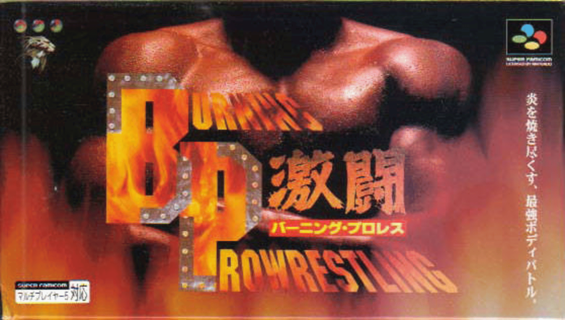 Gekitou Burning Pro Wrestling Cover