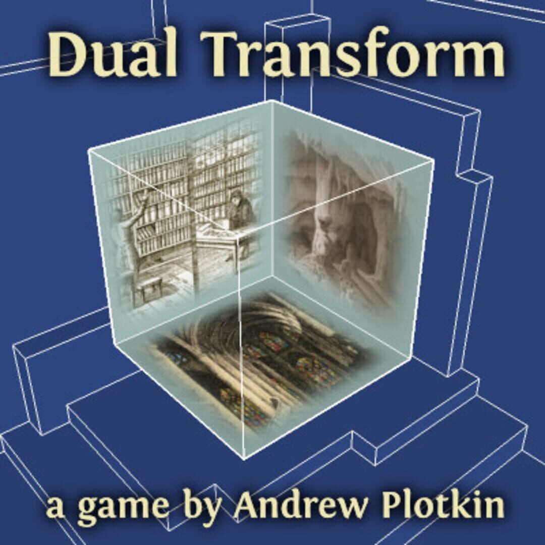 Dual Transform (2010)