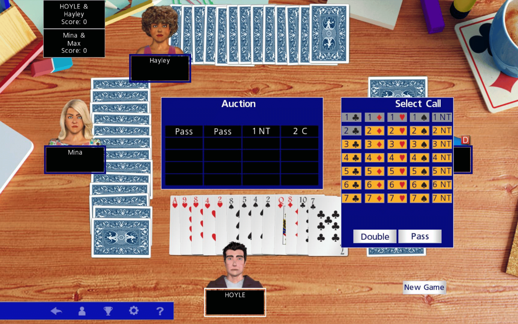 Hoyle Official Card Games Collection screenshot