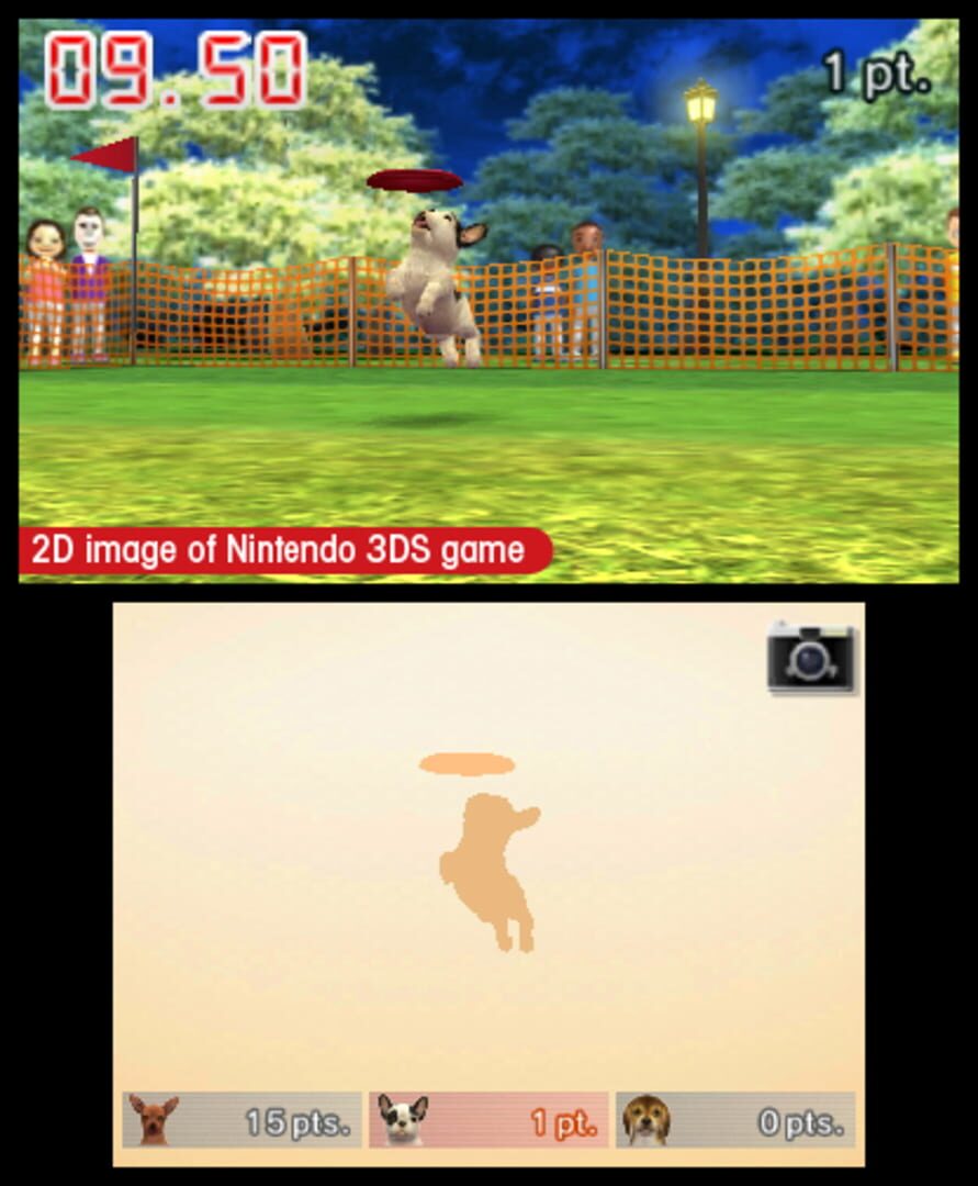 Captura de pantalla - Nintendogs + Cats: French Bulldog & New Friends