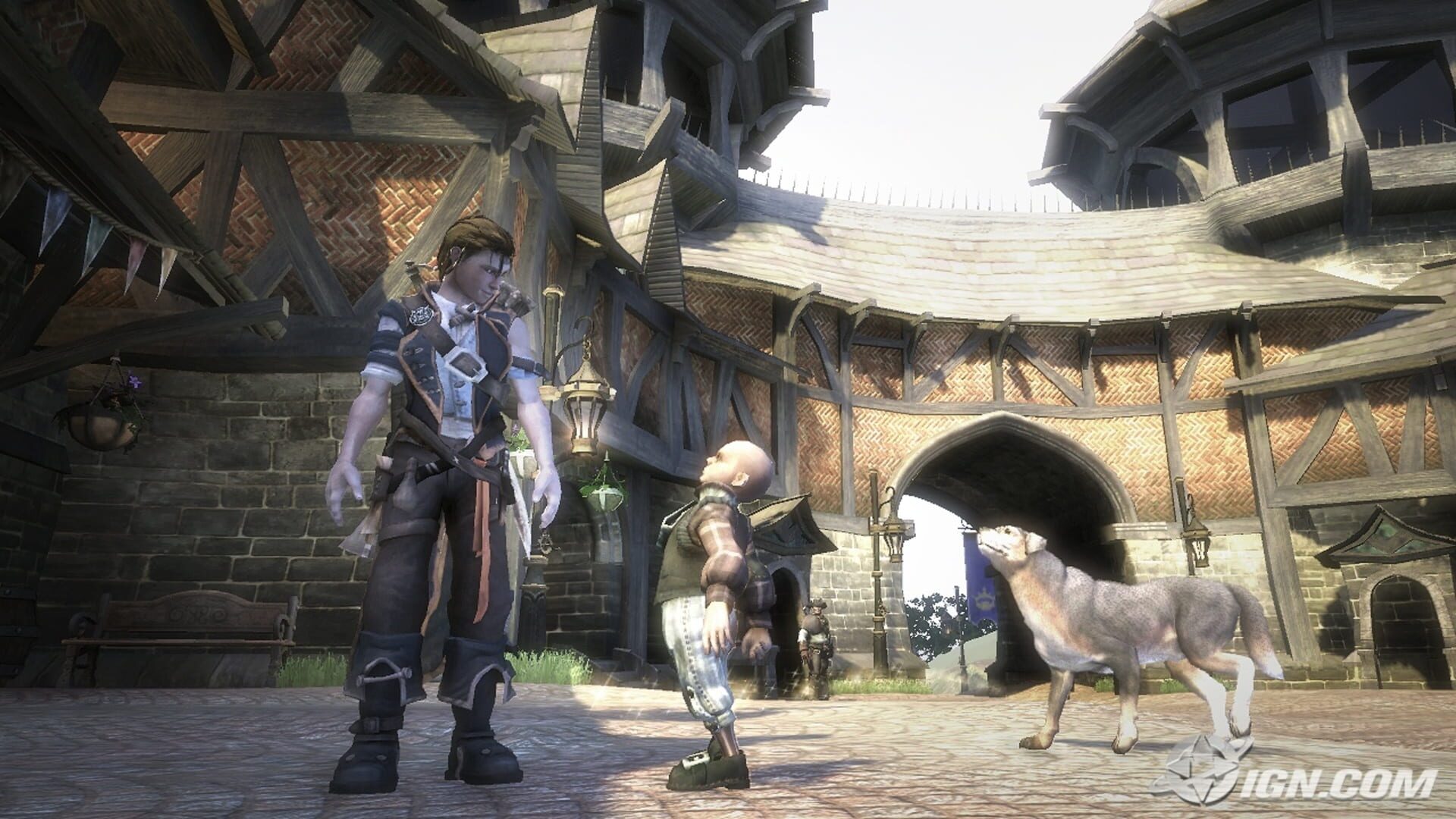 Fable II Controller Support Backbone