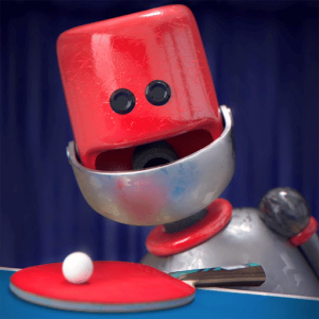 Table Tennis Touch Cover