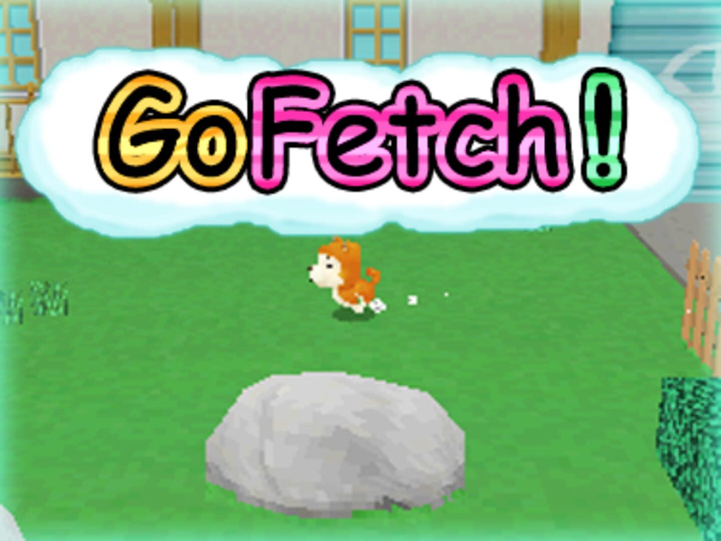 Go Fetch!