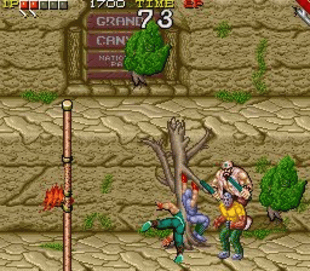 Ninja Gaiden screenshot