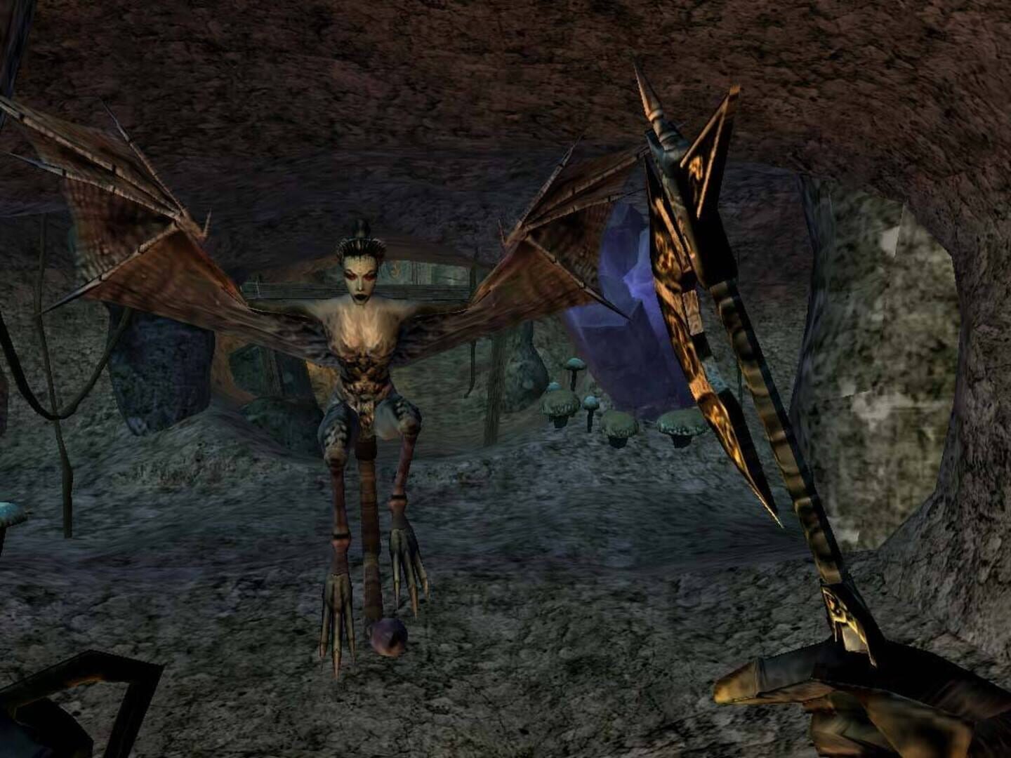 The Elder Scrolls III: Morrowind - Game of the Year Edition