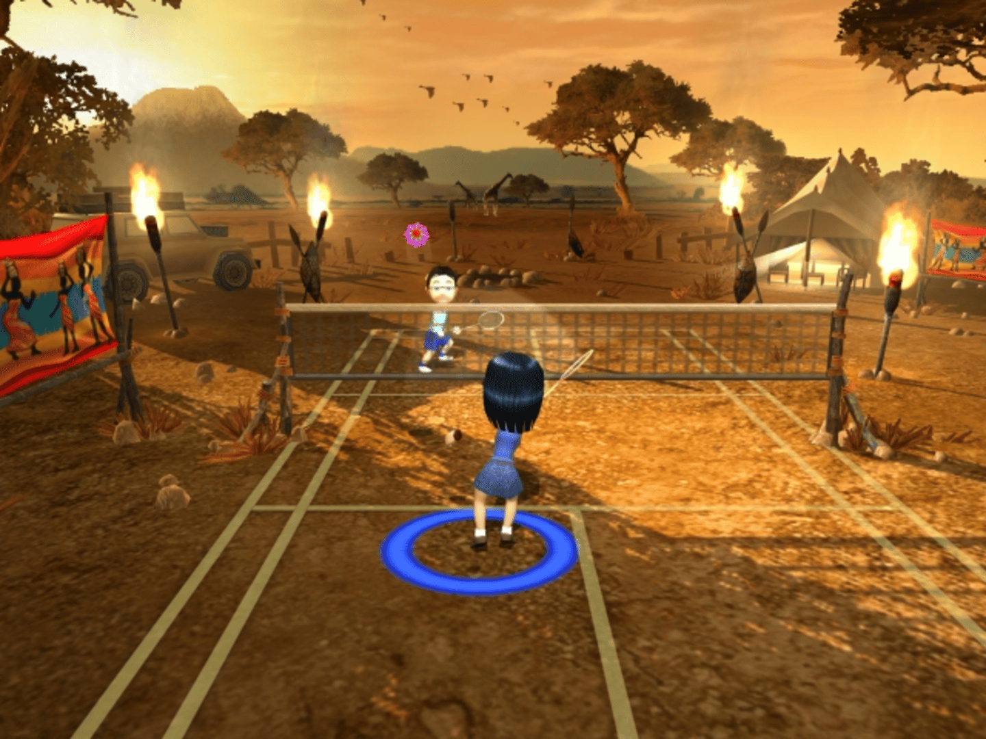 Racquet Sports screenshot