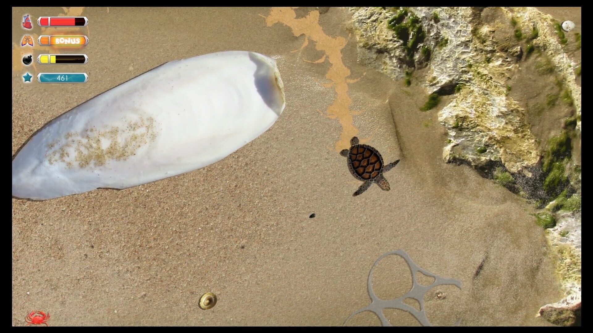 Turtle Quest - Screenshot