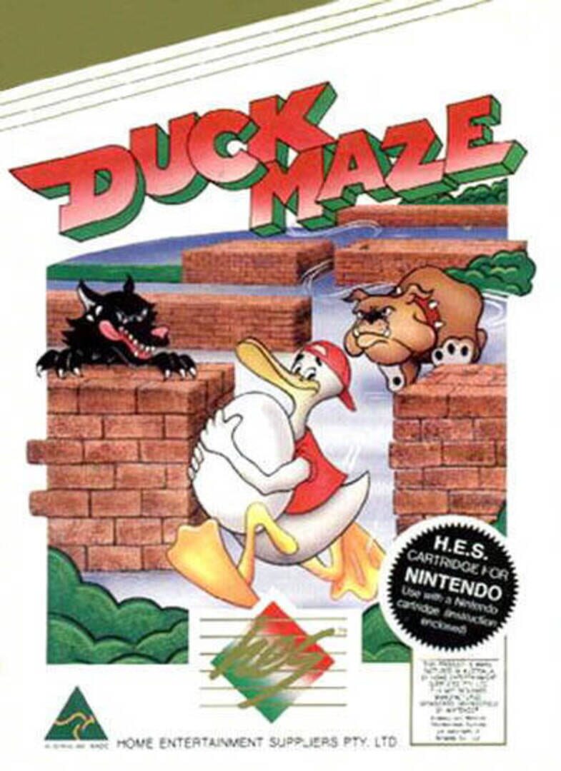 Duck Maze (1990)