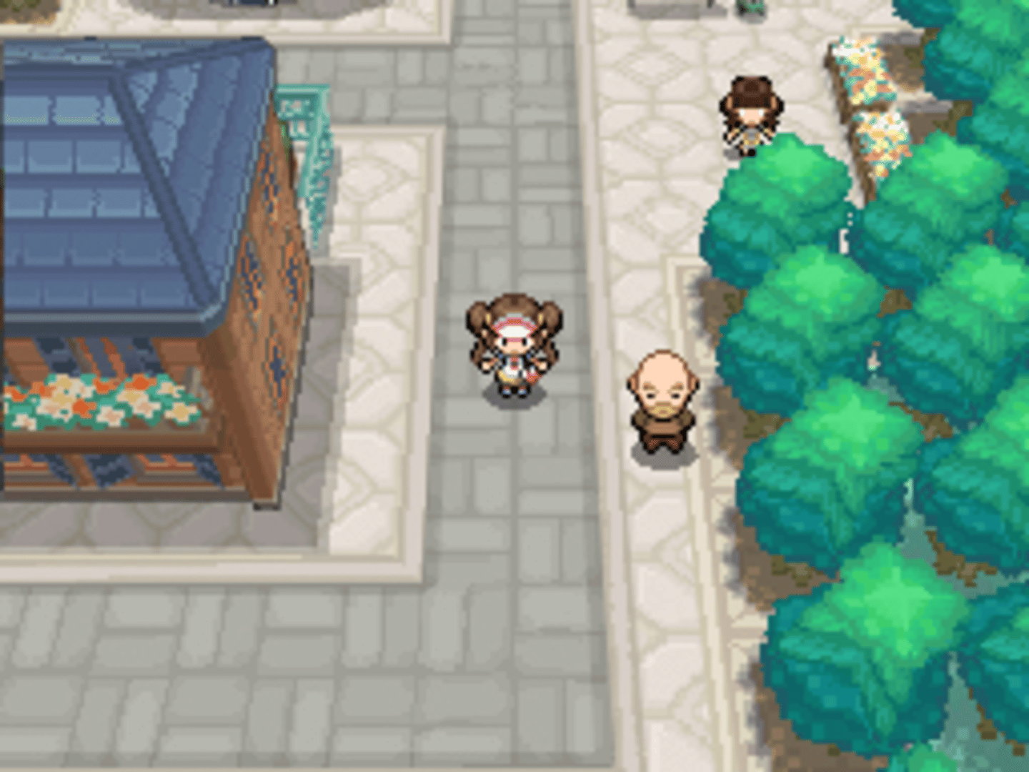 Pokémon Black Version 2 screenshot