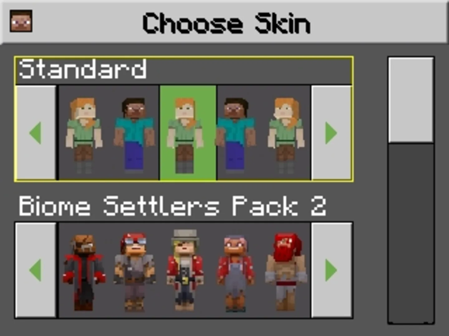 Captura de pantalla - Minecraft: New Nintendo 3DS Edition