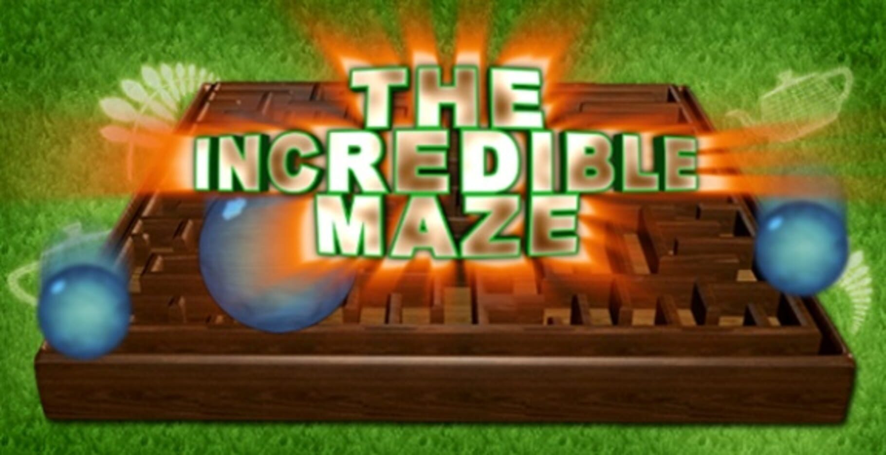 The Incredible Maze (2008)