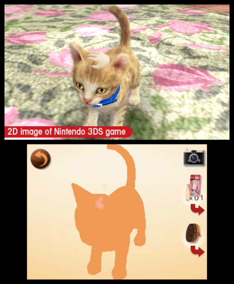 Captura de pantalla - Nintendogs + Cats: French Bulldog & New Friends