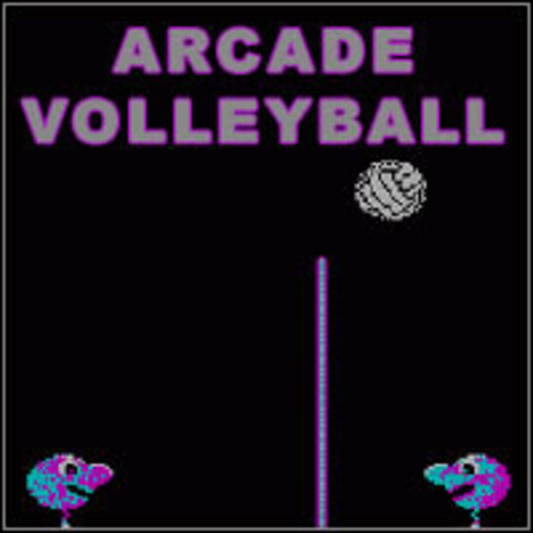 Arcade Volleyball (1989)