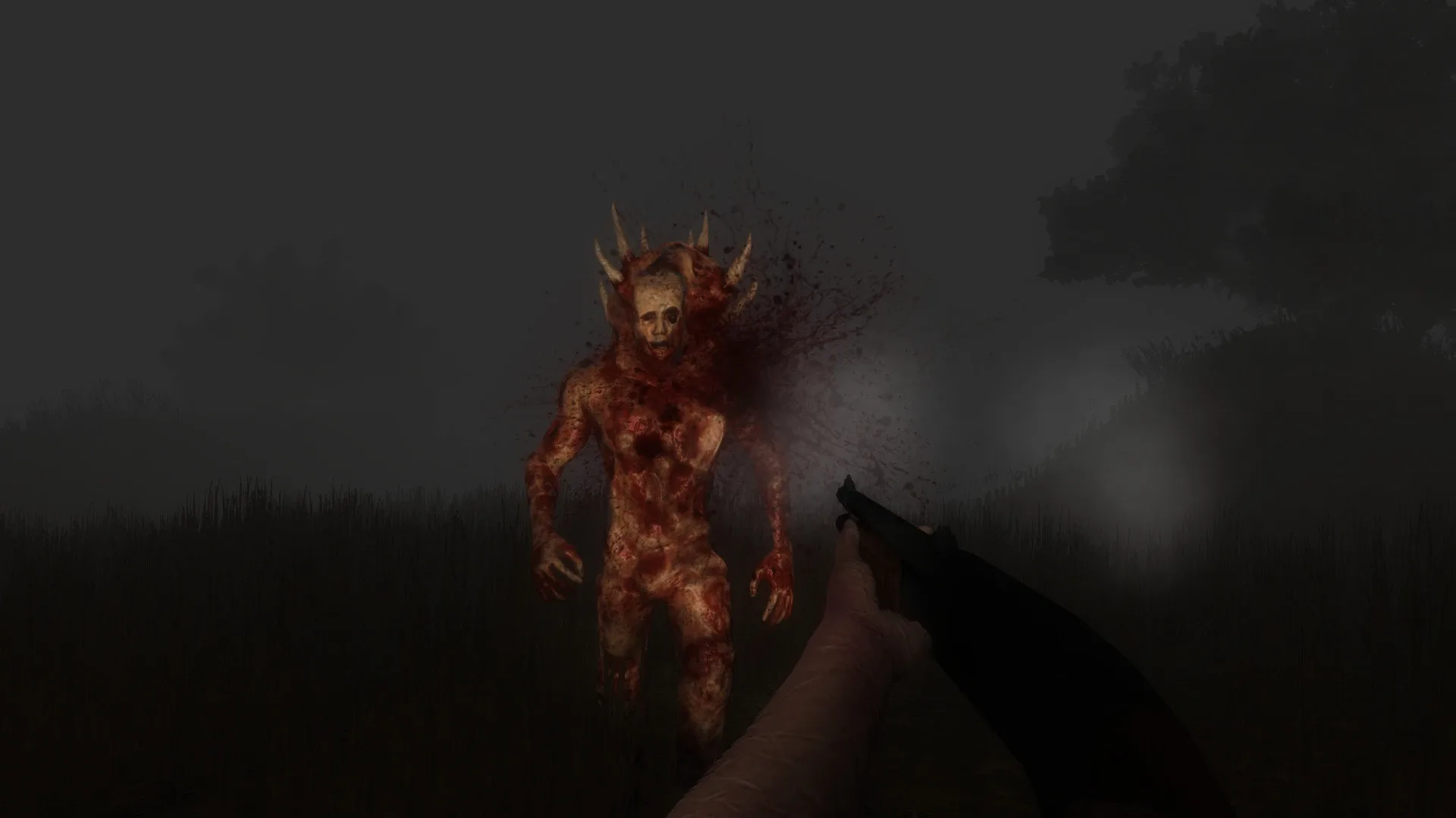 Thumbnail 12