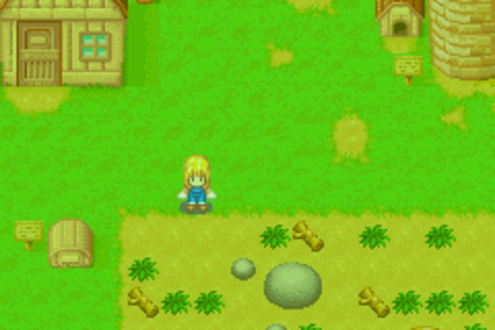 Captura de pantalla - Harvest Moon: More Friends of Mineral Town