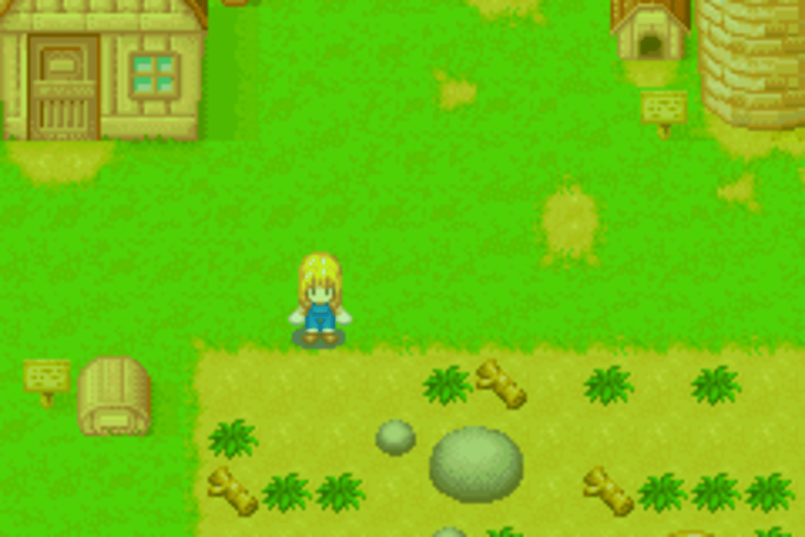 Harvest Moon: More Friends of Mineral Town screenshot