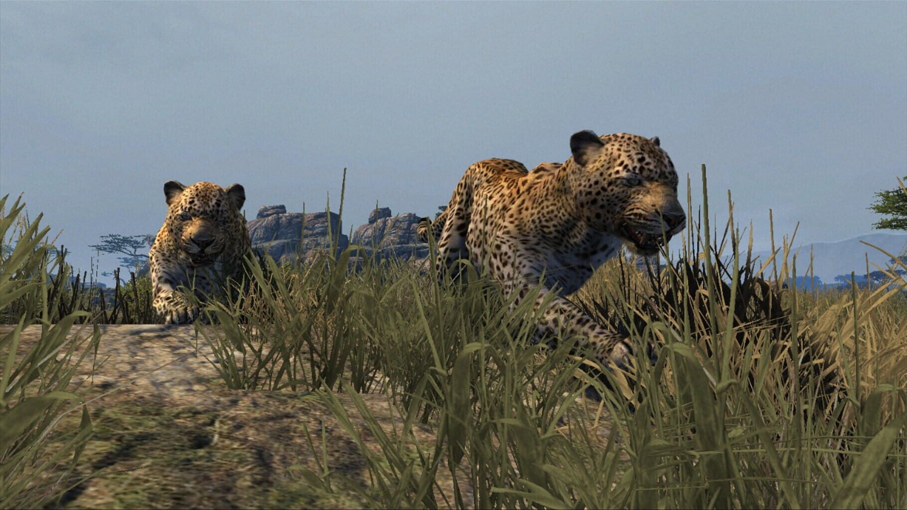 Captura de pantalla - Cabela's Dangerous Hunts 2013