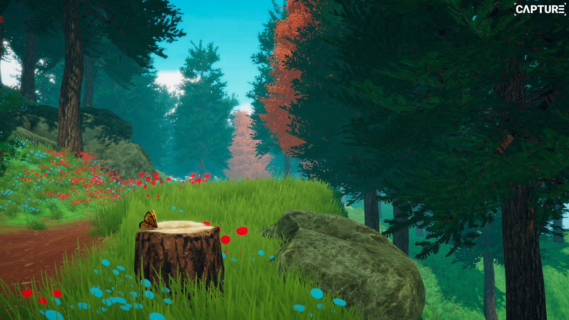 Capture - Screenshot