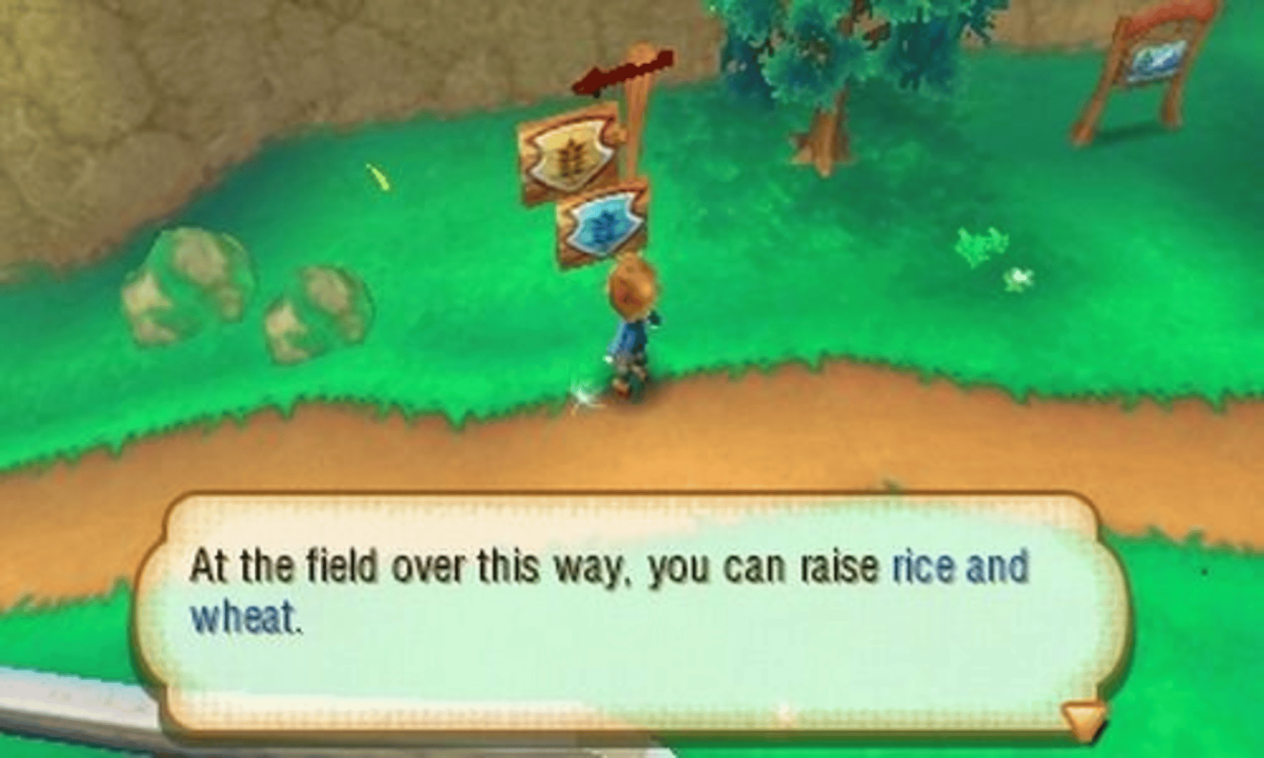 Story of Seasons screenshot