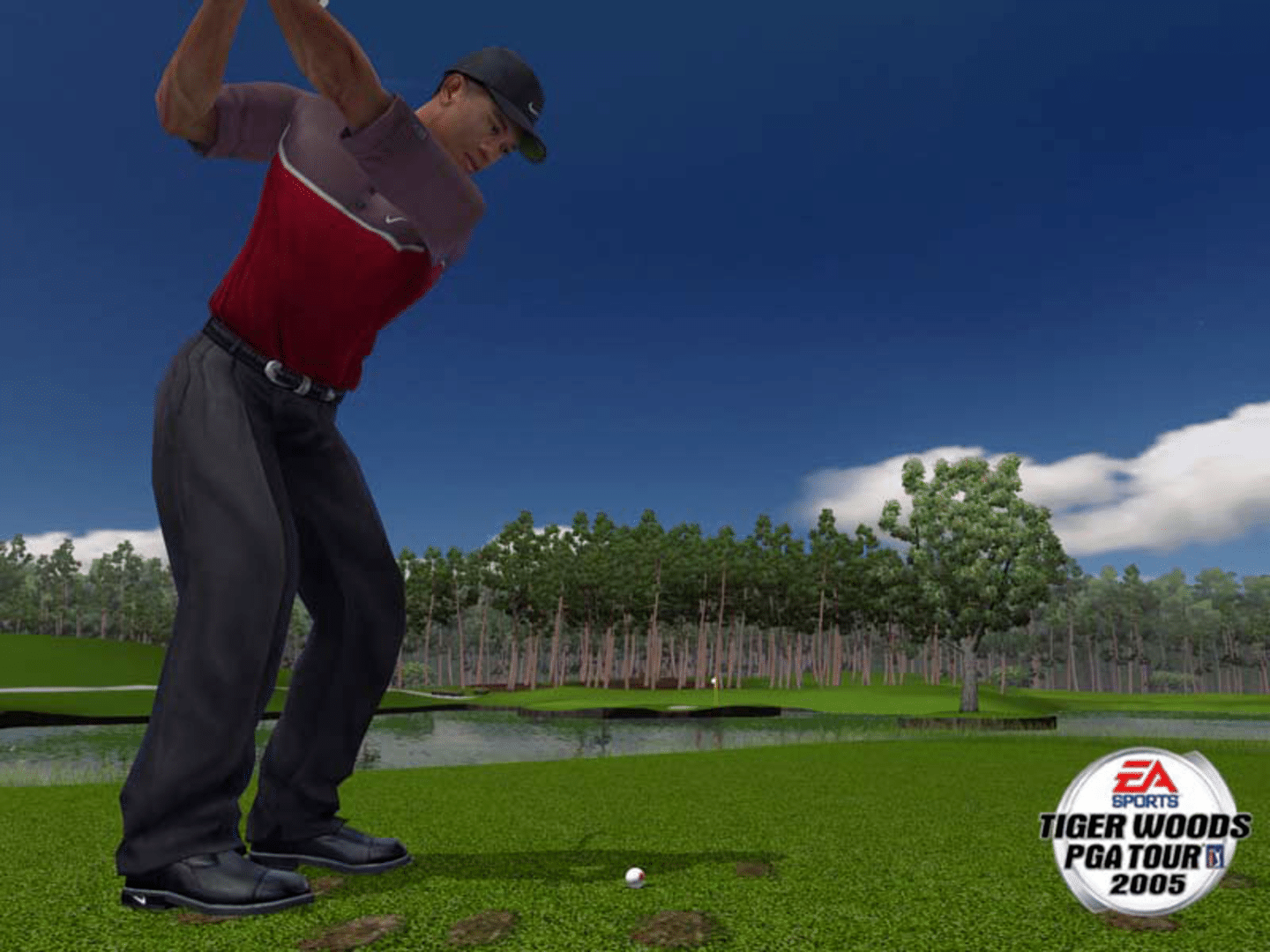 Tiger Woods PGA Tour 2005 screenshot