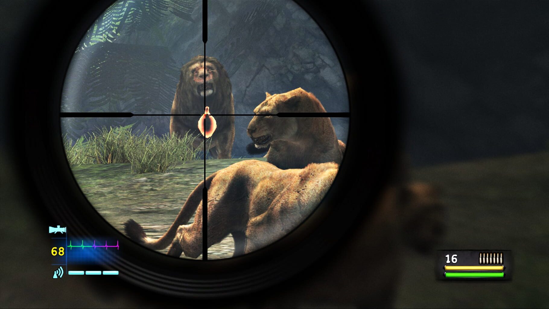 Captura de pantalla - Cabela's Dangerous Hunts 2013