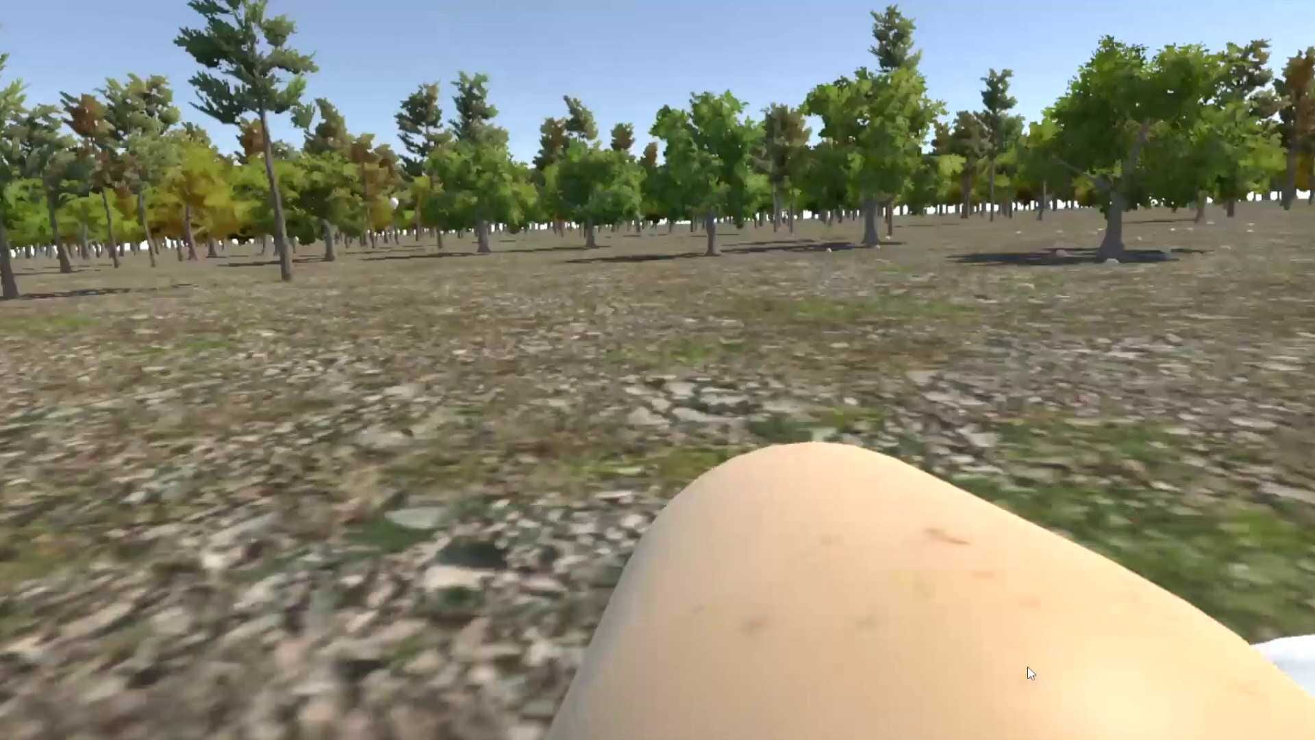 Chicken VR - Screenshot