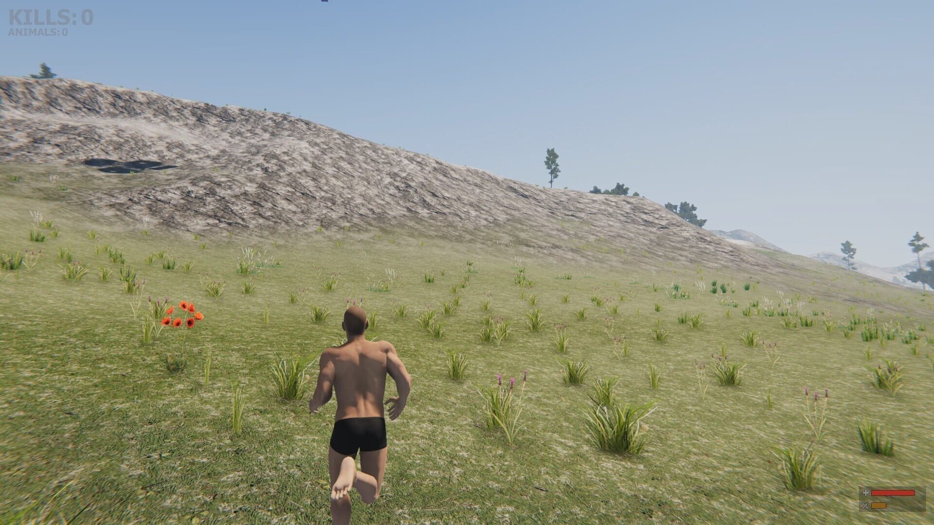 Valley of the foxes - Screenshot