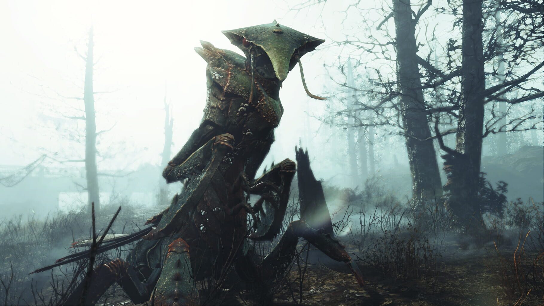 Captura de pantalla - Fallout 4: Far Harbor