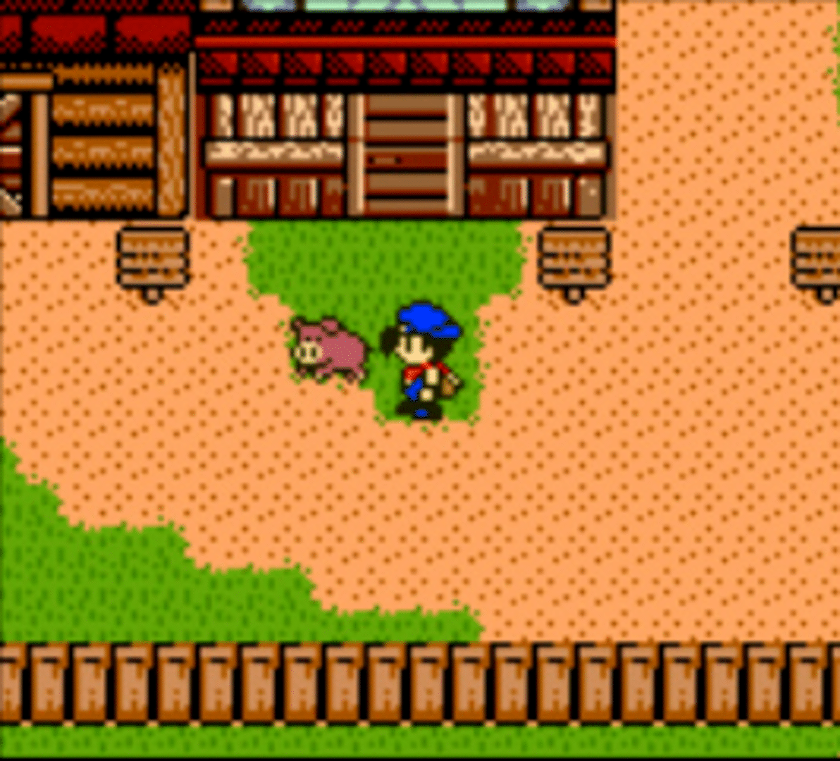 Harvest Moon 3 GBC screenshot