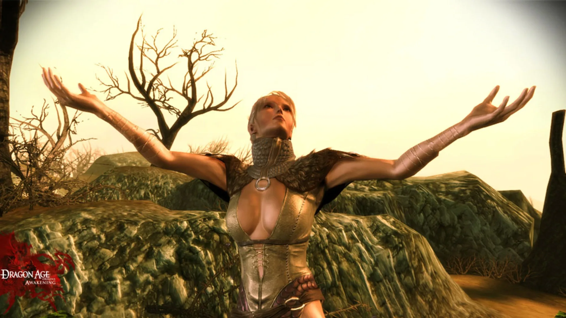 Captura de pantalla - Dragon Age: Origins - Awakening