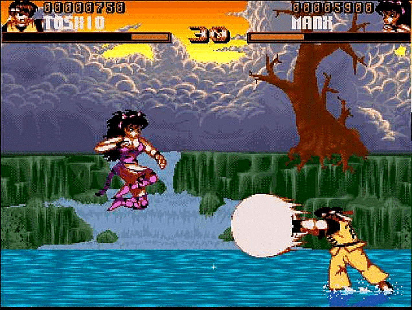 Shadow Fighter screenshot