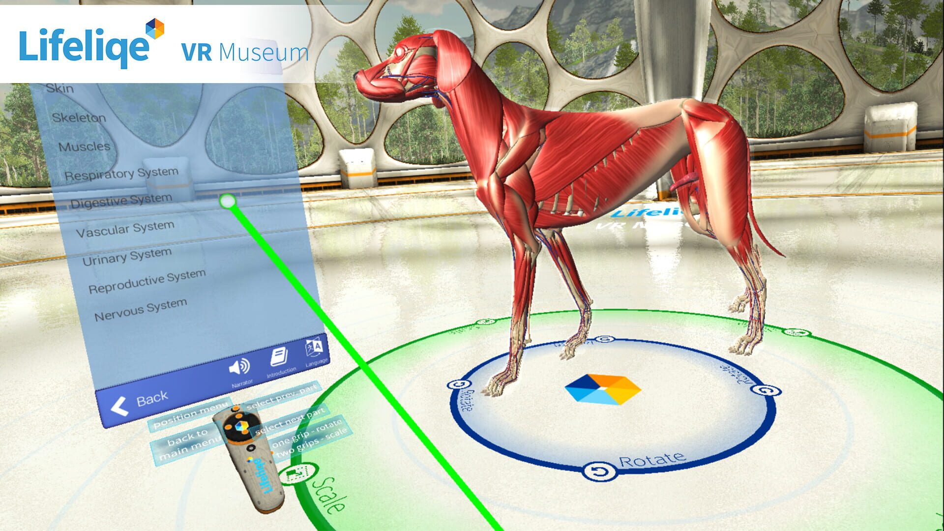 Lifeliqe VR Museum - Screenshot