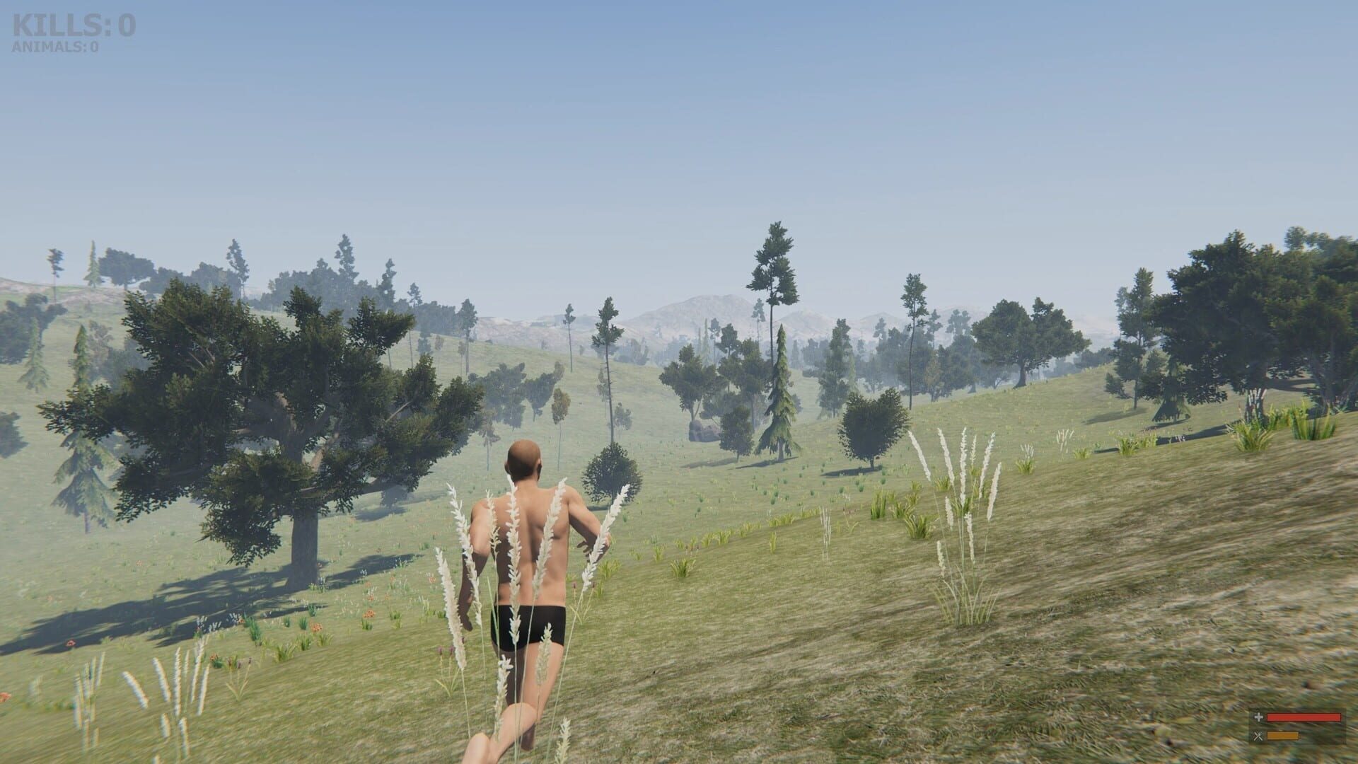 Valley of the foxes - Screenshot
